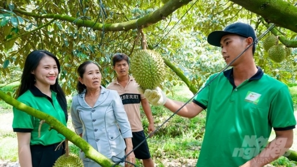 Growing organic durian brings long-term benefits